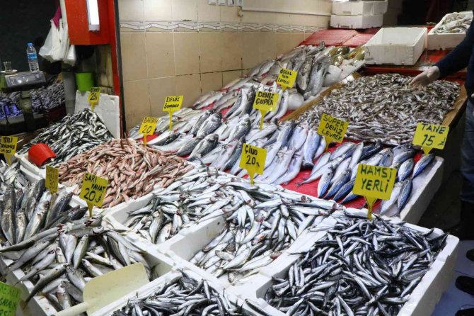 Balık fiyatları arttı