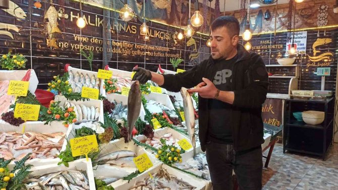 Balıkçılar balığa ilgiden memnun