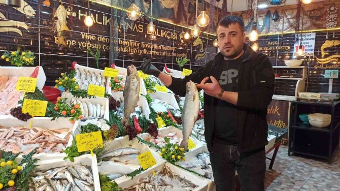 Balıkçılar balığa ilgiden memnun