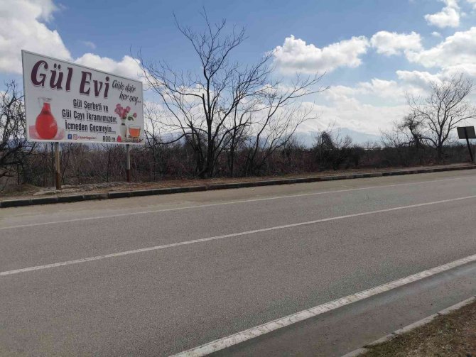 Köpekten kaçarken araç çarpan genç kız yoğun bakımda!