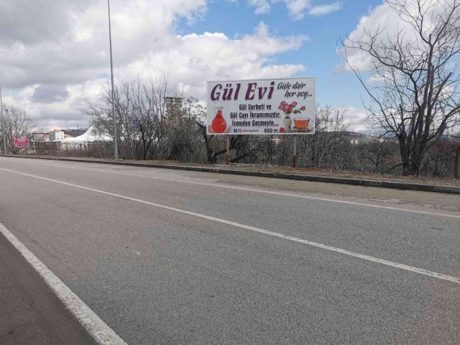 Köpekten kaçarken araç çarpan genç kız yoğun bakımda!