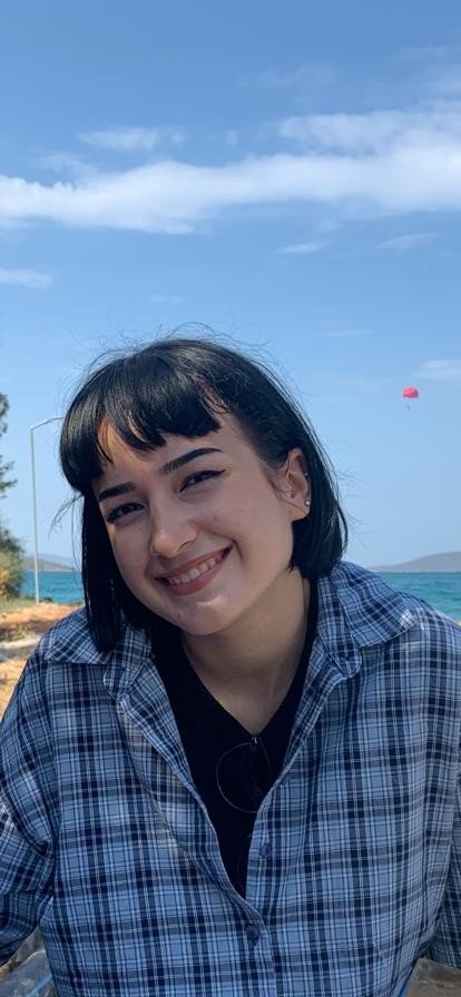 Köpekten kaçarken araç çarpan genç kız yoğun bakımda!