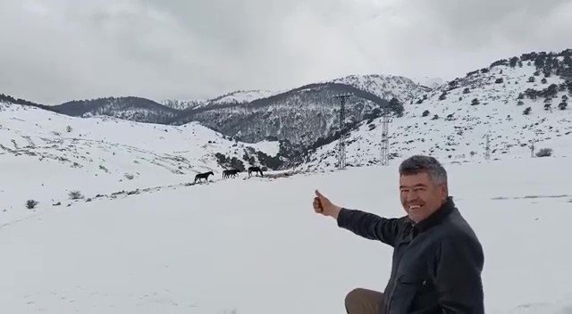 Yılkı atlarına otomobiliyle saman taşıdı