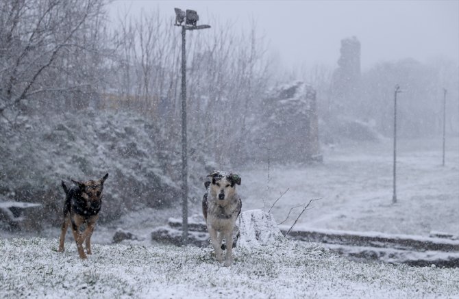 İstanbul'da kar yağışı etkili oluyor