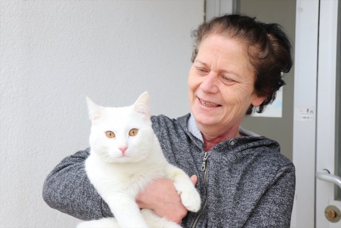 Ağaçta mahsur kalan kediyi itfaiye kurtardı