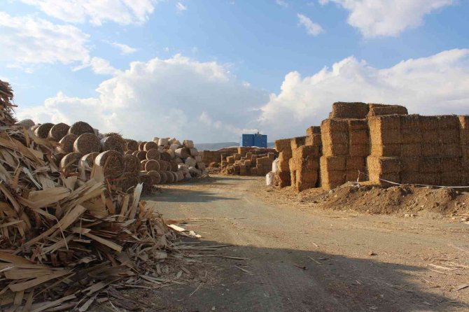 Enerjide biyokütle avantajı