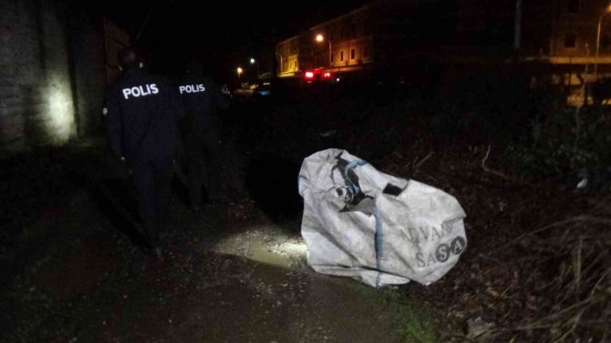 Hırsızları yakalamak için düz duvara tırmandılar