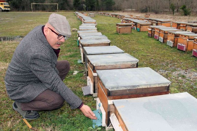 "Tarımda rekolte ve randıman için arıcılık desteklenmeli"