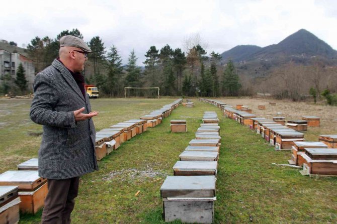 "Tarımda rekolte ve randıman için arıcılık desteklenmeli"