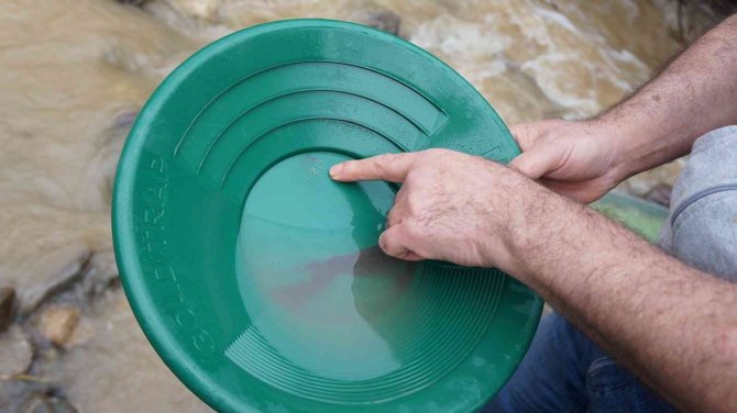 Buz gibi suda altın avı