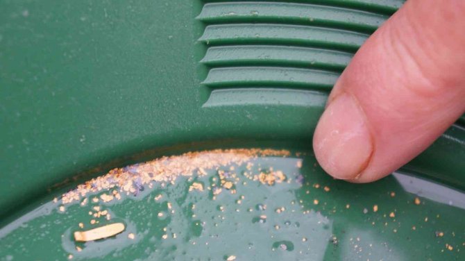 Buz gibi suda altın avı