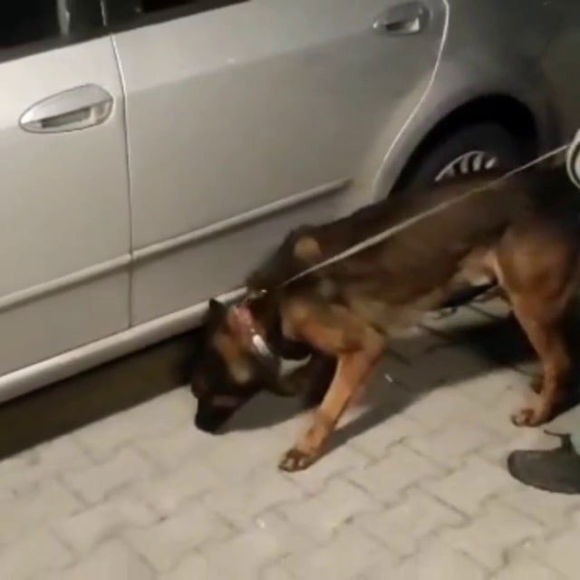 Sakarya’da uyuşturucuya geçit yok: 2 tutuklama