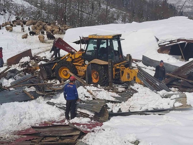 Ahırın çatısı çöktü, 5 koyun telef oldu
