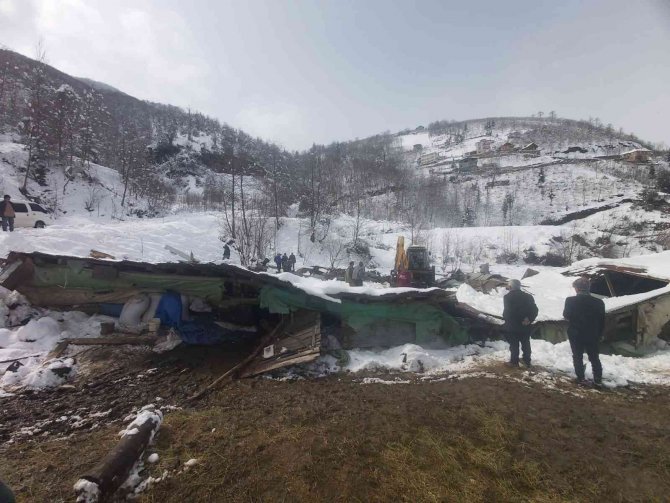 Ahırın çatısı çöktü, 5 koyun telef oldu