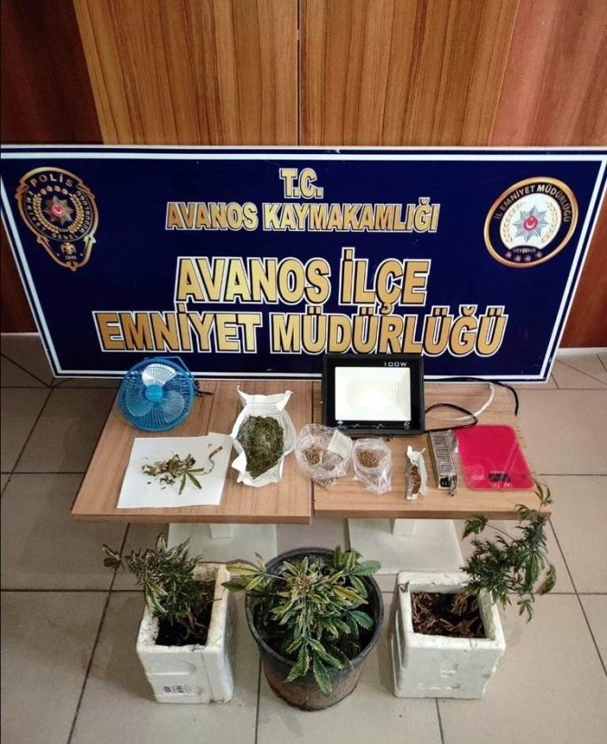 Saksıda uyuşturucu yetiştirmiş