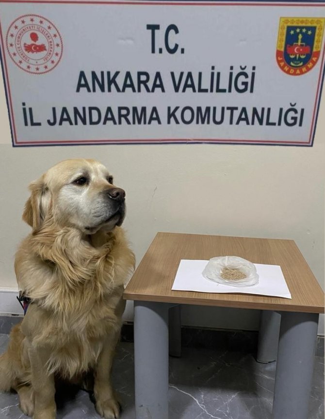 Başkent’te uyuşturucu operasyonu