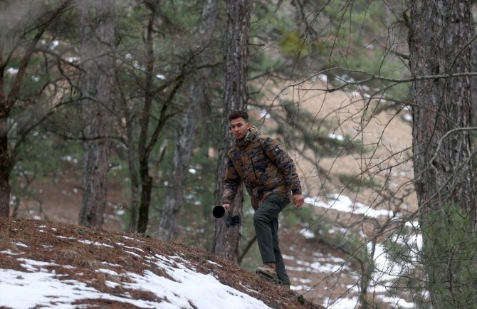 Çizgili sırtlan, yavrusuyla görüntülendi