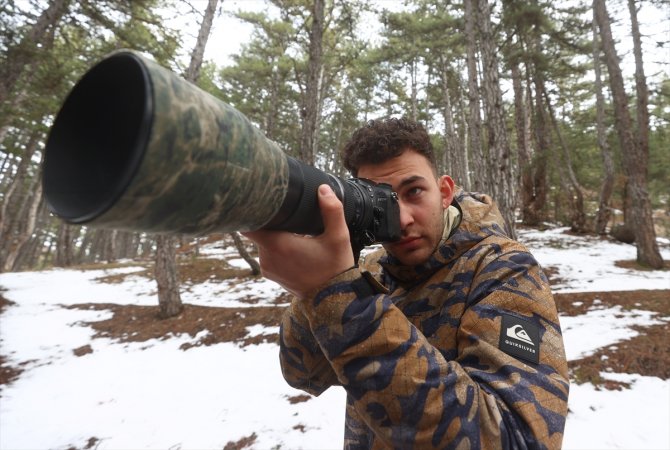 Çizgili sırtlan, yavrusuyla görüntülendi