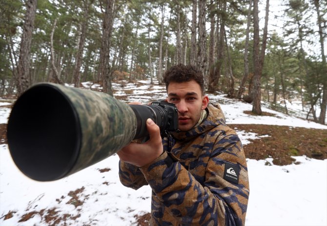 Çizgili sırtlan, yavrusuyla görüntülendi