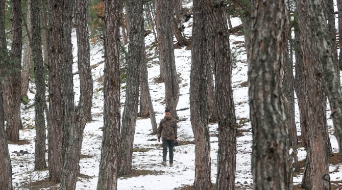 Çizgili sırtlan, yavrusuyla görüntülendi