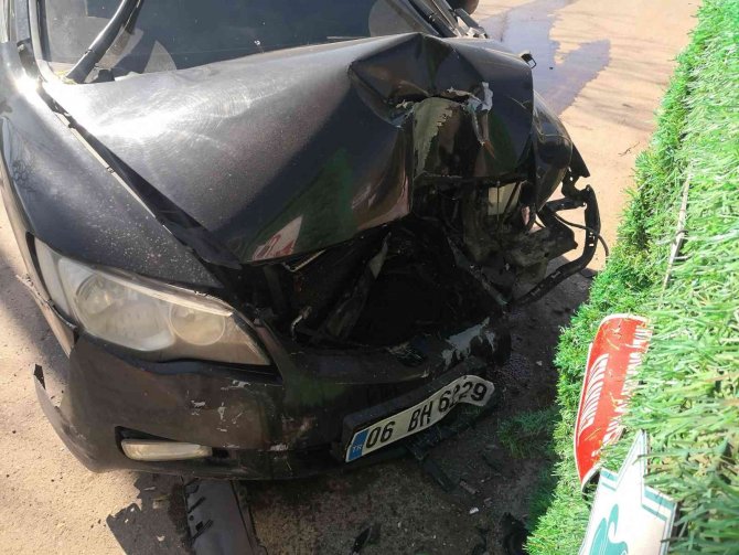 Otomobil refüjdeki ağaca çarptı