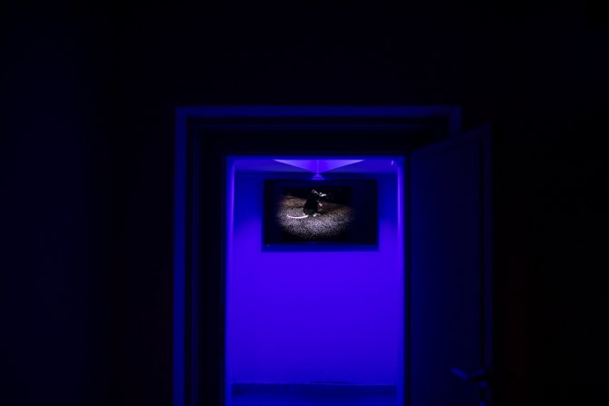 Korku ile umudu birleştiren sergi: "Belki Sonra"