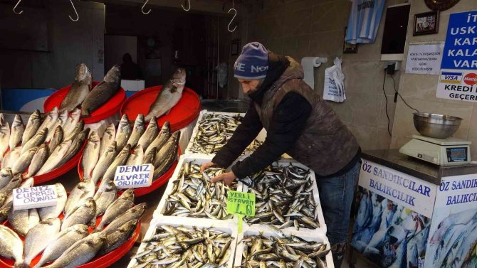 Bir haftadır etkili olan kar yağışı tezgahlarda balık fiyatlarını uçurdu
