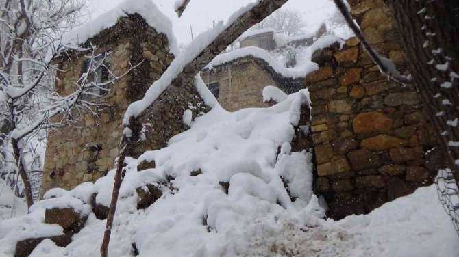 Yoğun kar yağışı nedeniyle ahır çöktü, 6 hayvan telef oldu