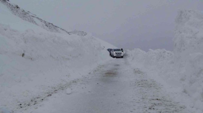Yoğun kar yağışı nedeniyle ahır çöktü, 6 hayvan telef oldu