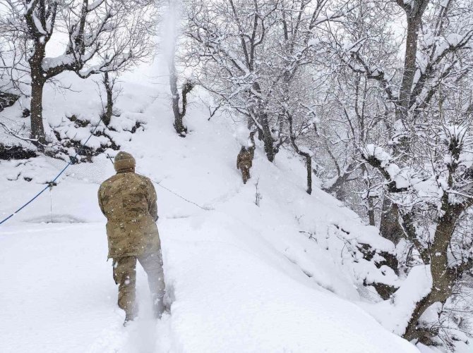Yoğun kar yağışı nedeniyle ahır çöktü, 6 hayvan telef oldu