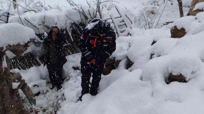 Yoğun kar yağışı nedeniyle ahır çöktü, 6 hayvan telef oldu