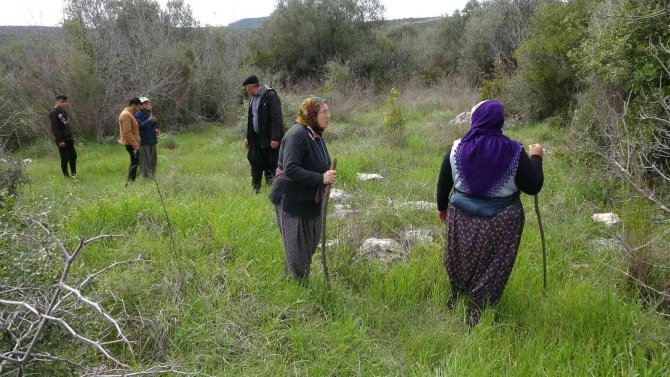 4 gündür kayıp olan 3 çocuk annesi kadın zeytinlikte bulundu