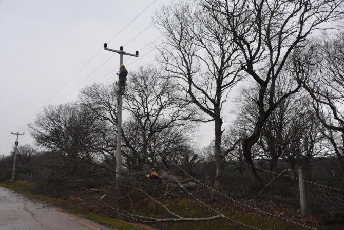 Enerji dağıtım hatları yenileniyor