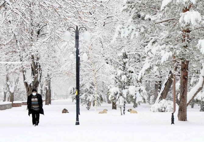 Erzincan’da kar ve tipiden 168 köy yolu ulaşıma kapandı