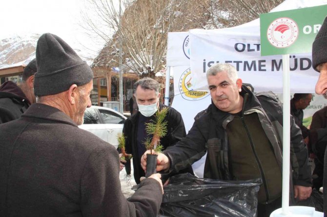 Fidan dağıtımında izdiham yaşandı