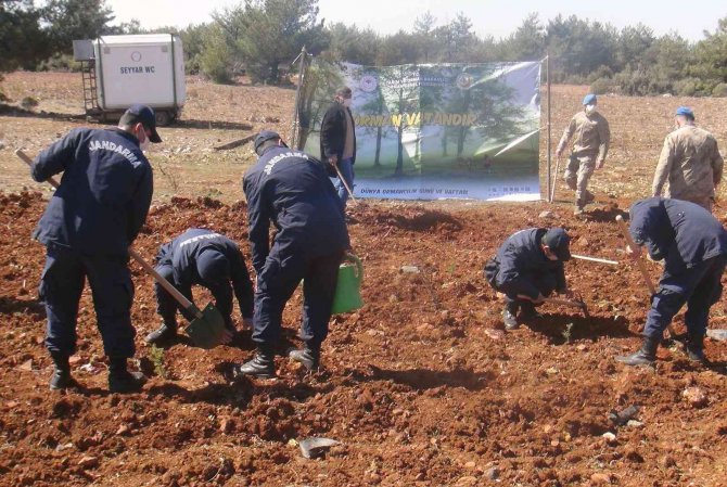 Yanan sahaların yüzde 75’inde çalışmalar tamamlandı