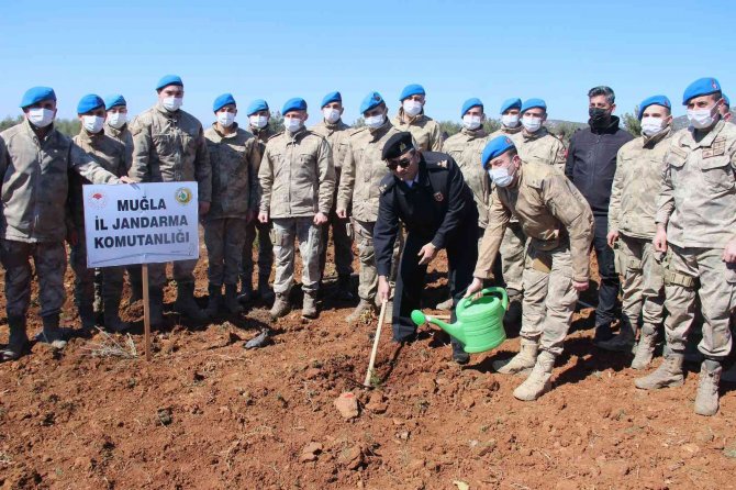Yanan sahaların yüzde 75’inde çalışmalar tamamlandı
