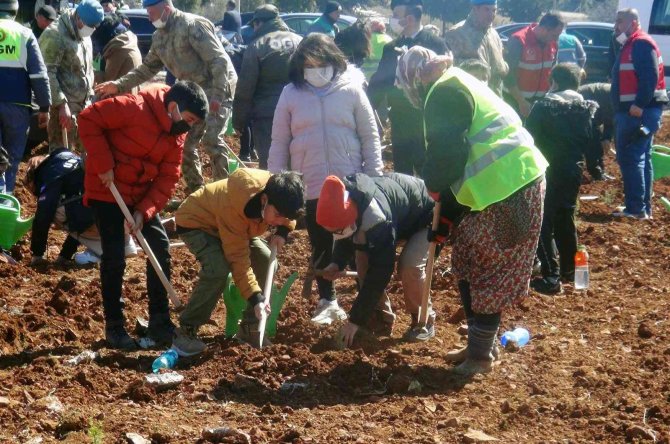 Yanan sahaların yüzde 75’inde çalışmalar tamamlandı