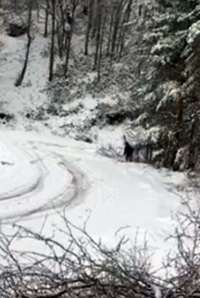 Yürekleri ağza getiren görüntü