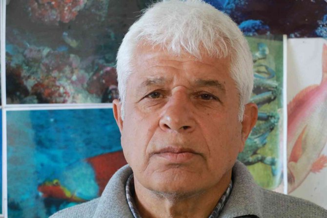 Yüzlerce denizanası kıyıya vurdu, profesör uyardı: “Yakınına yaklaşmayın ve dokunmayın”