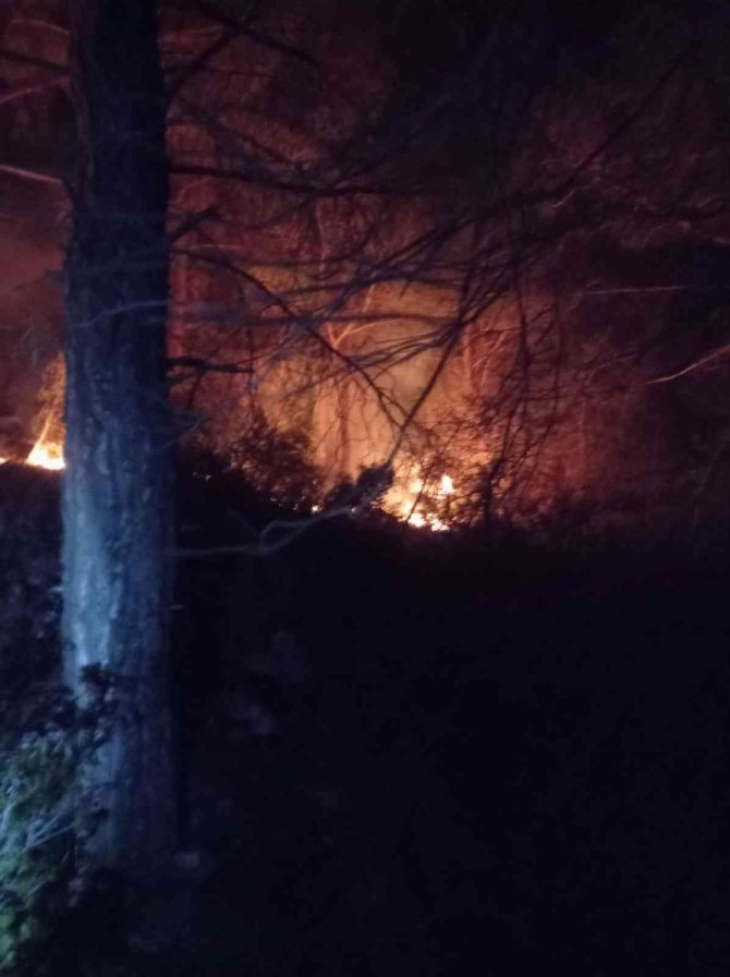 2022 yılının ilk orman yangında 1 hektar alan zarar gördü