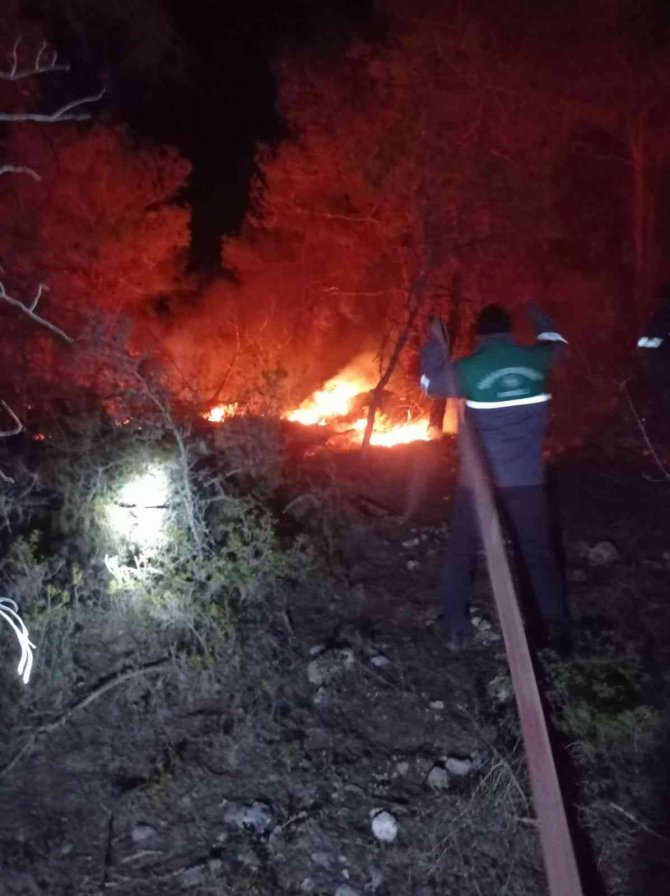 2022 yılının ilk orman yangında 1 hektar alan zarar gördü