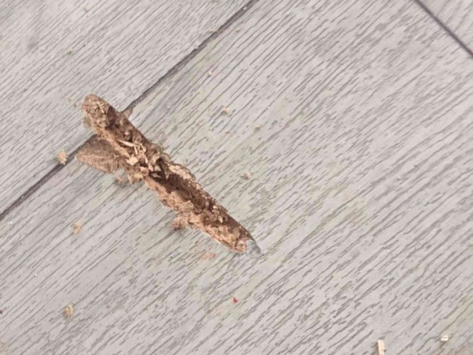 Belediye başkanına makam odasında silahlı saldırı