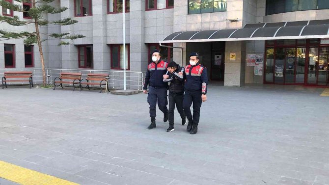 Hayırsız torun tutuklandı