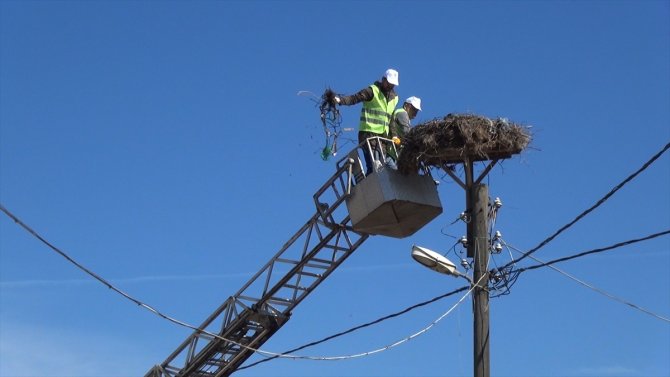 "Leylek Köyü" yuvalarında bahar temizliği