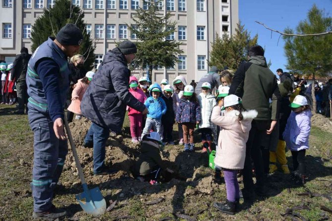 Öğrenciler fidan dikti