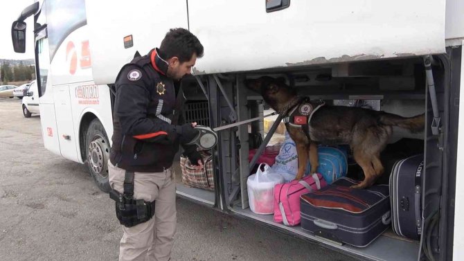 43 ilin geçiş güzergahında sıkı denetim: Narkotik köpeği ’Adam’ didik didik arıyor