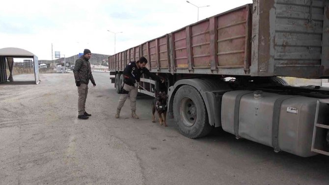 43 ilin geçiş güzergahında sıkı denetim: Narkotik köpeği ’Adam’ didik didik arıyor