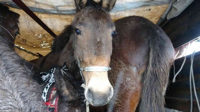 Kamyon karşı yöne geçti, facianın eşiğinden dönüldü