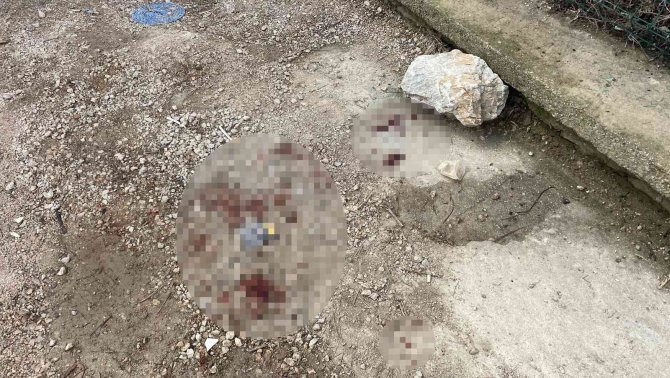 Konya’da silahlı kavga: 3 ölü, 3 yaralı